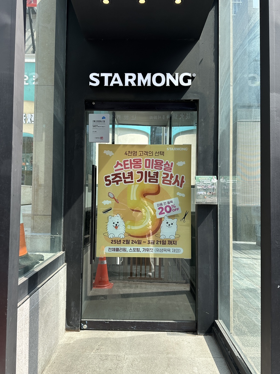 강남 강아지 유치원, 산책 훈련과 사회성 교육 후기 — 사진 3