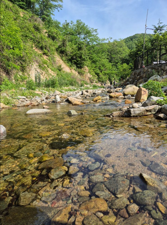 라라캠핑장 이미지
