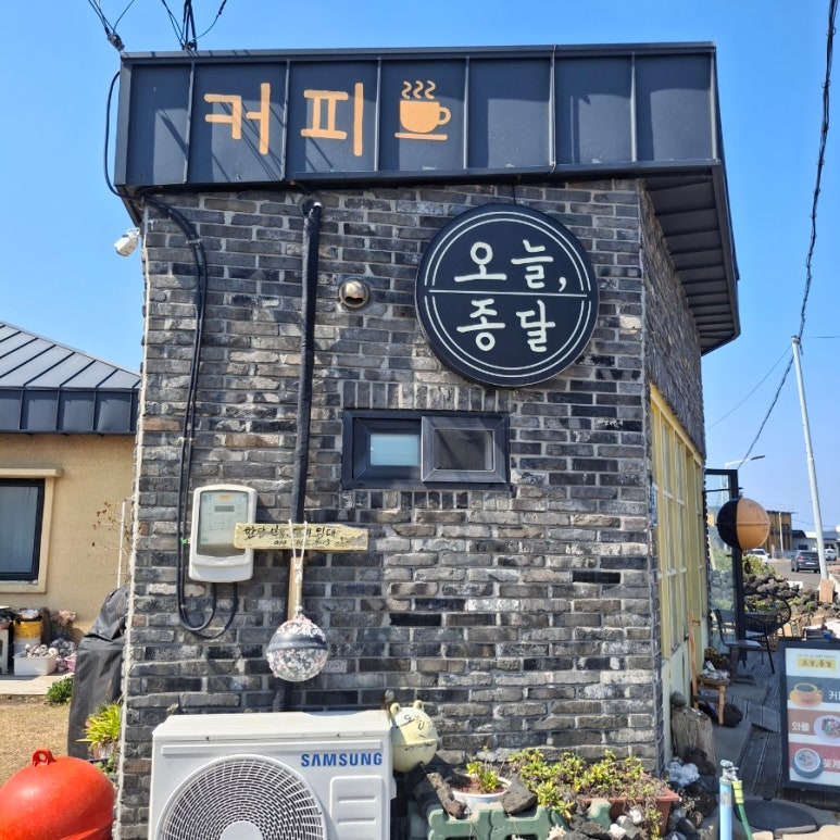 오늘종달 이미지