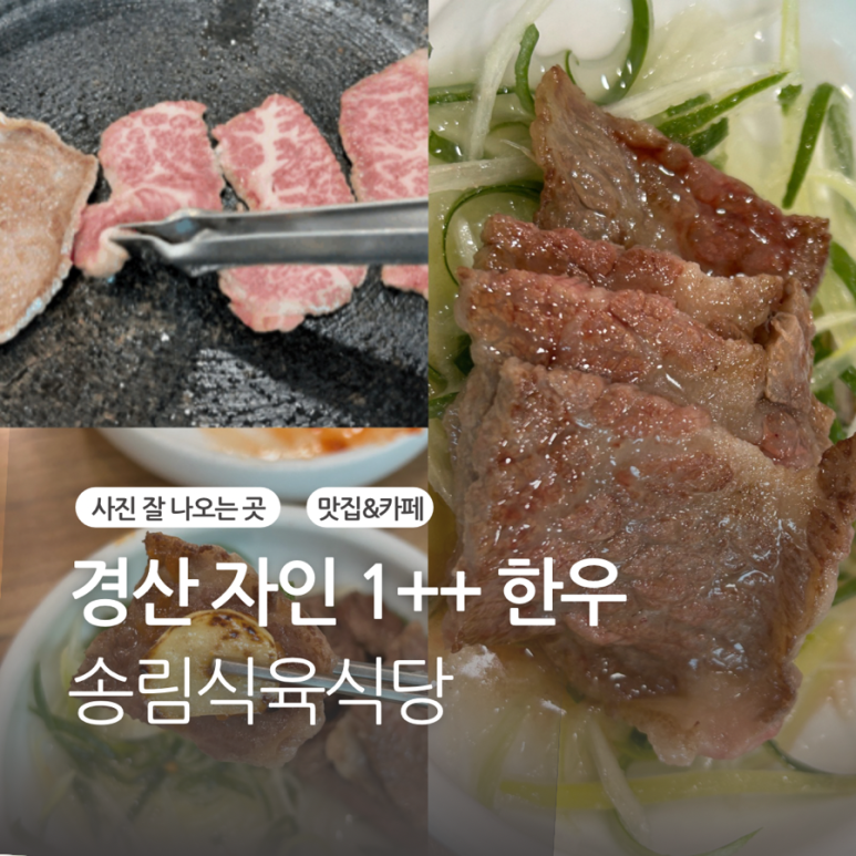 송림식육 이미지