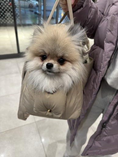 라브리크스타필드 이미지