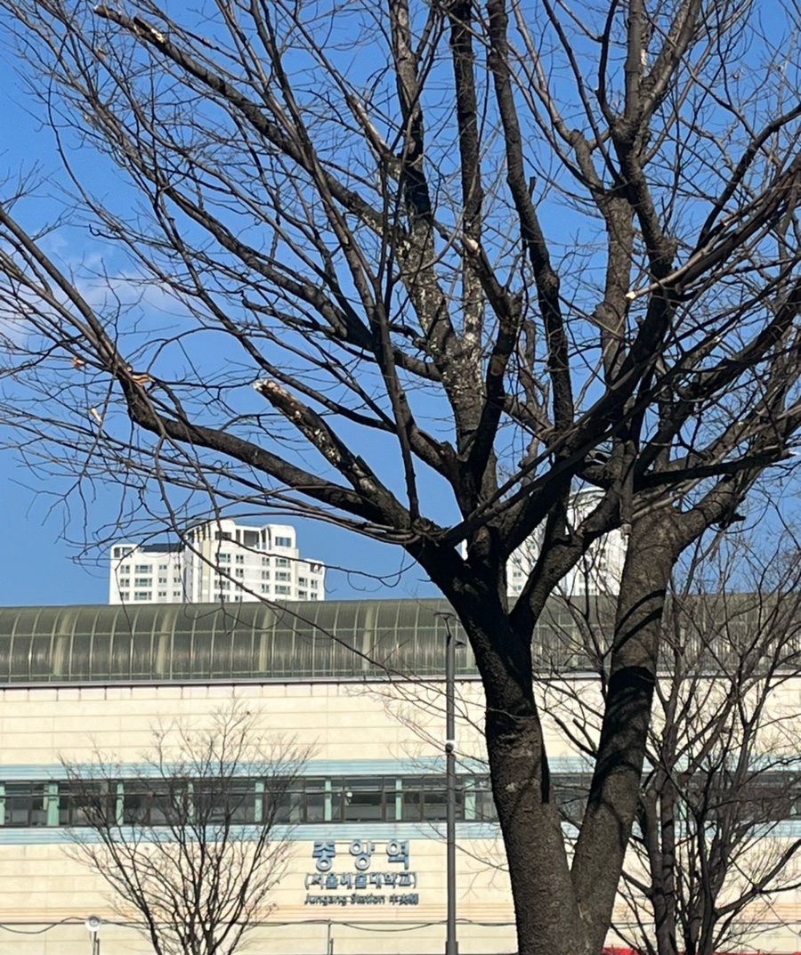 천혜그레이스 이미지