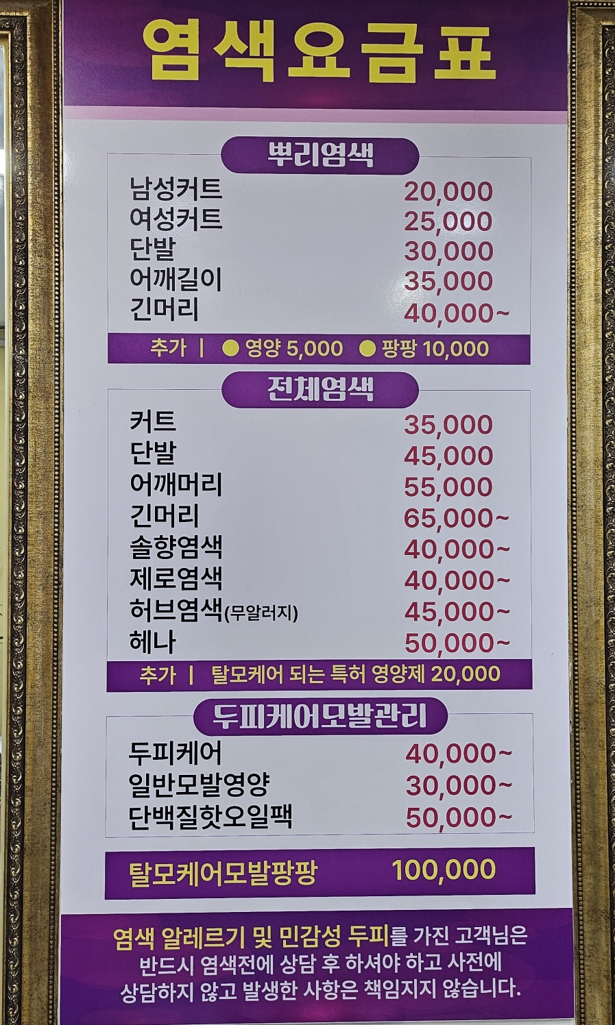 아비가일헤어 이미지