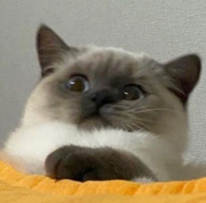 철뚝길 이미지
