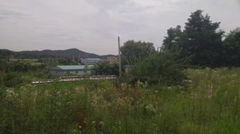 미래AMC 이미지