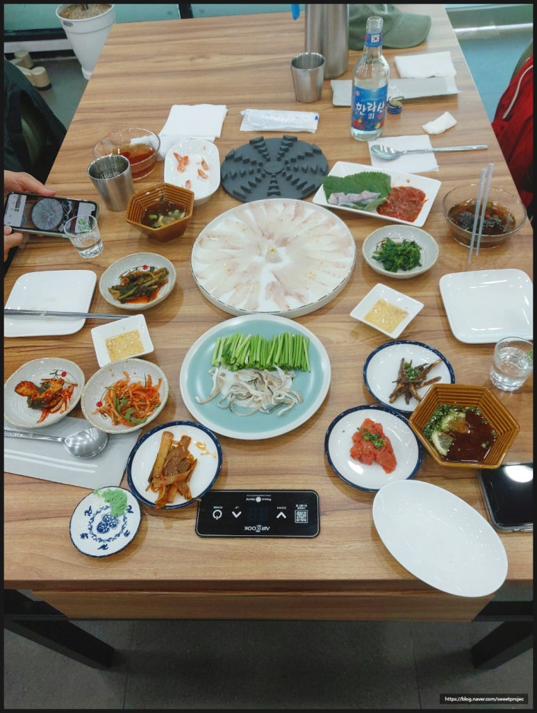 제주복어 이미지