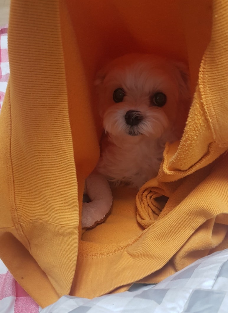 잘자 이미지