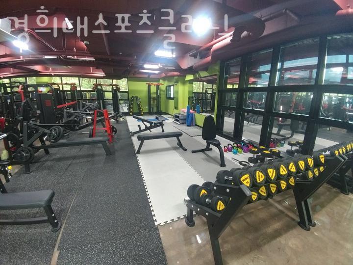 경희대스포츠 이미지