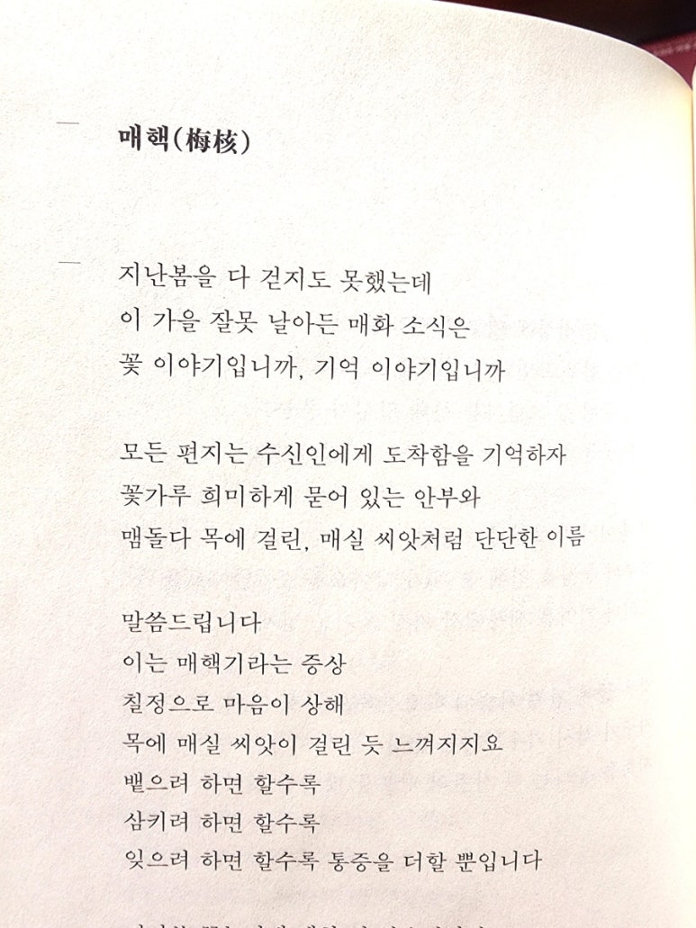동네다방 이미지