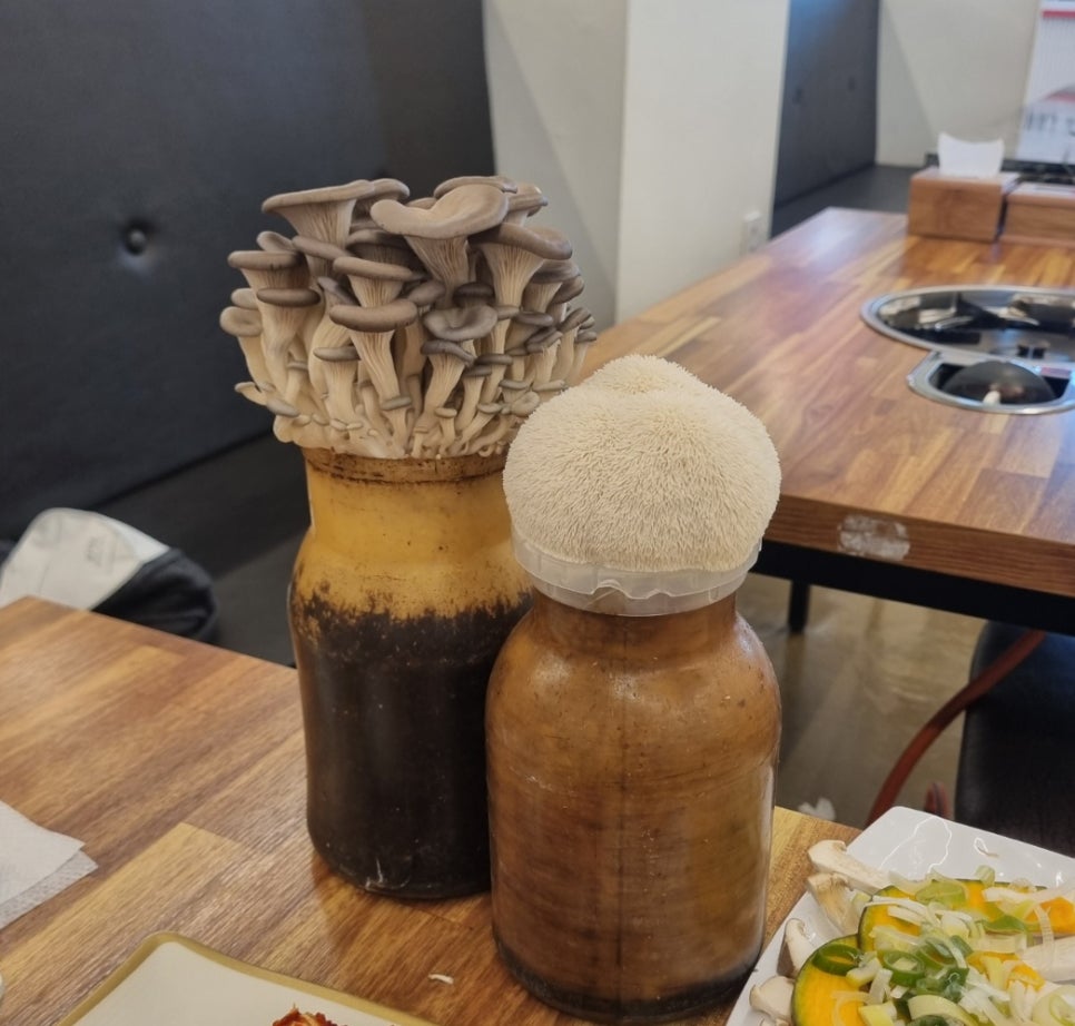 칠곡해물손칼국수 공도점 이미지