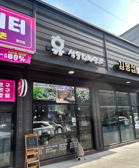 휴식물디자인샵 이미지