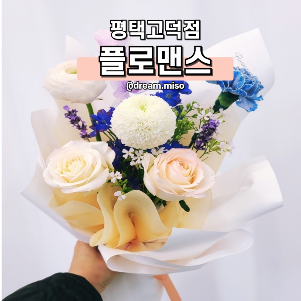 플로맨스 이미지