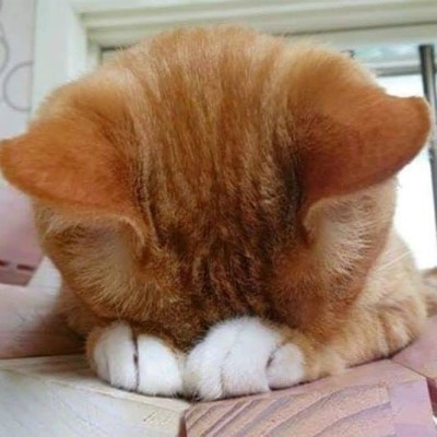 방아실와유 이미지