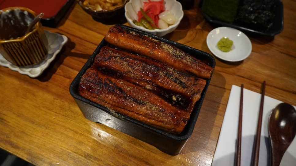 비장한장어 이미지