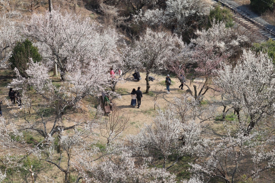 매화분식 이미지