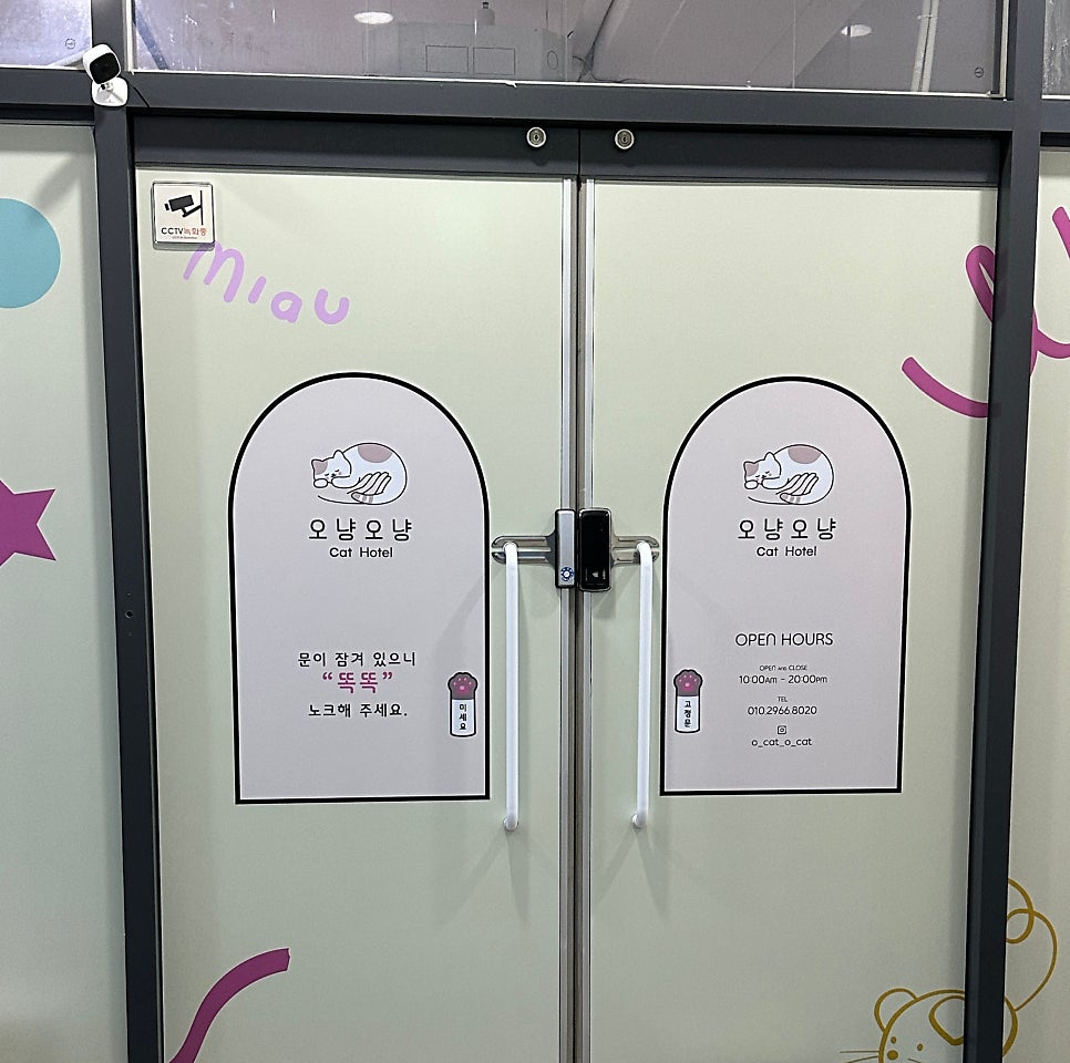 대구 고양이 호텔 오냥오냥 24시간 상주 관리 — 사진 4