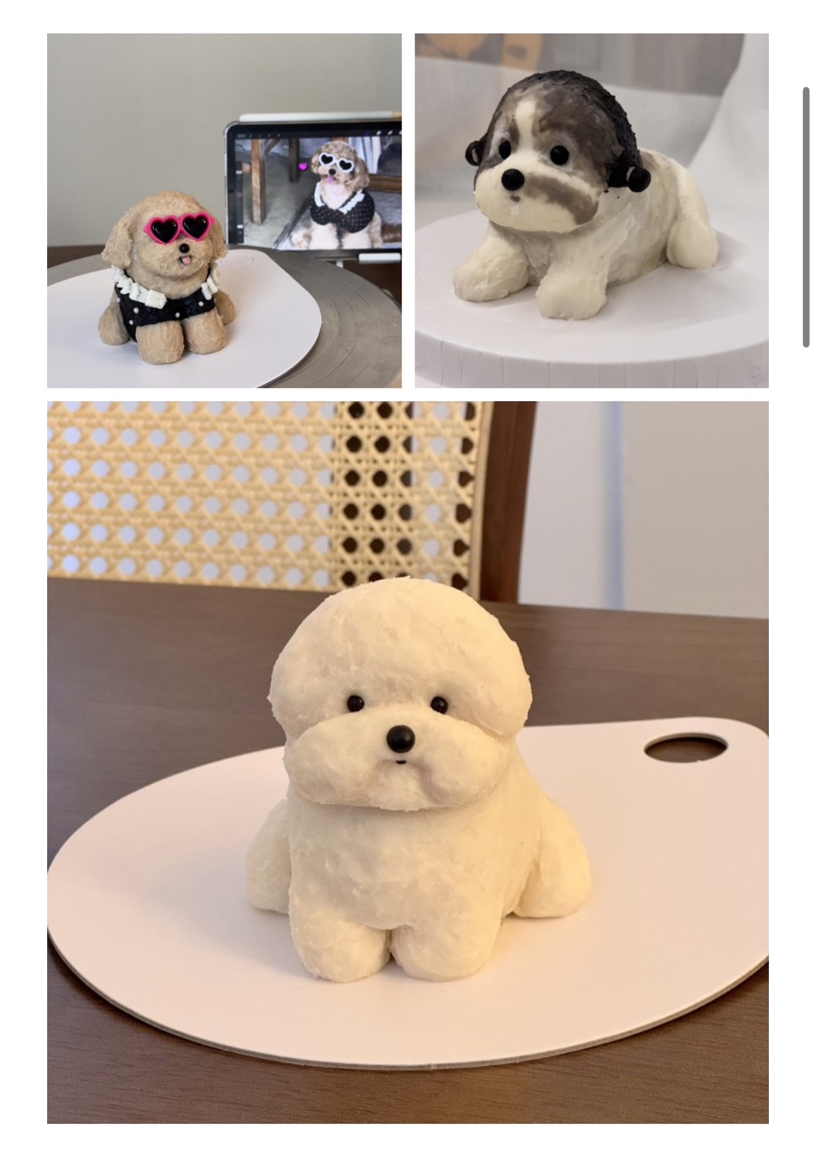엠와이피에스 이미지