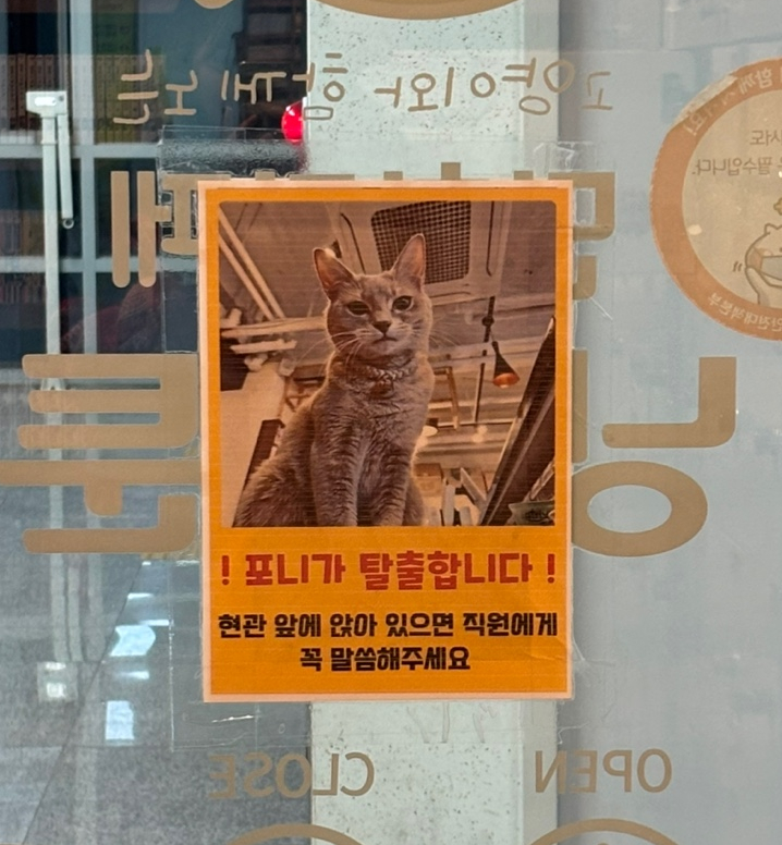 냥이툰 이미지