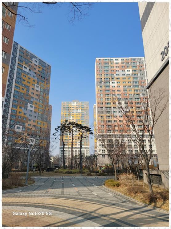 모아랜드 이미지