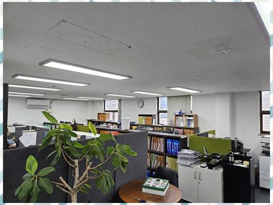 세무법인넥스트 이미지