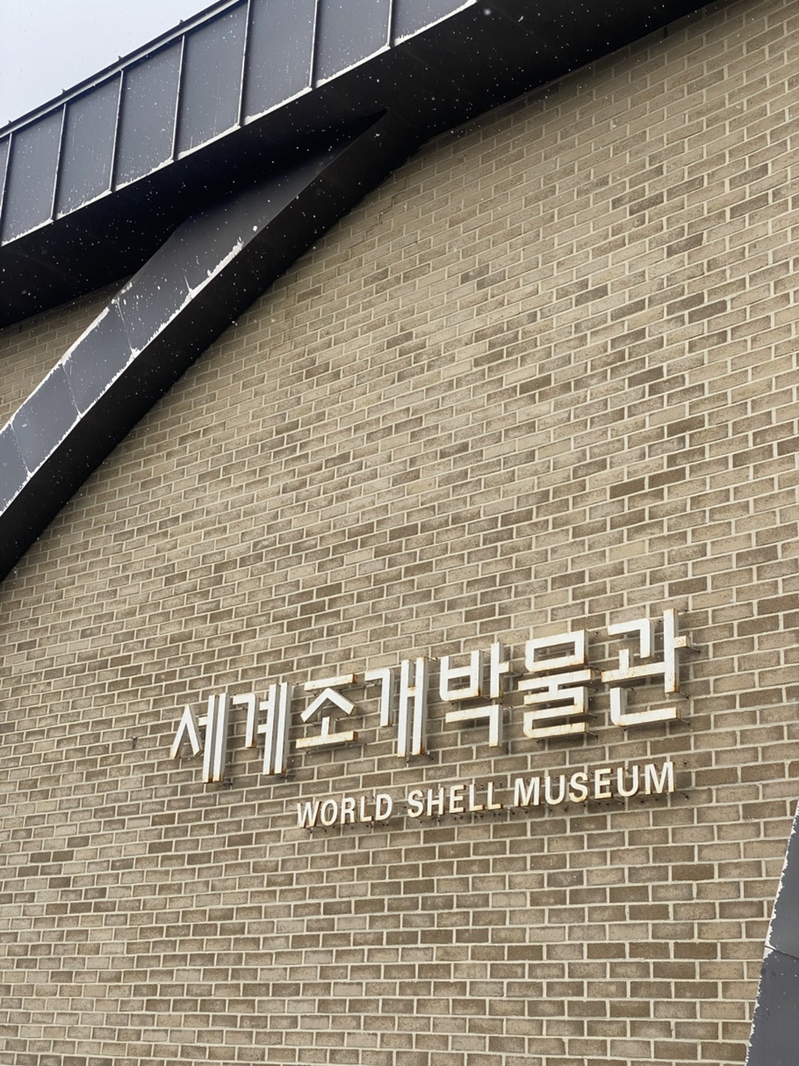 신안조개박물관뮤지엄샵 이미지