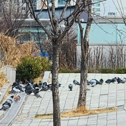 야스티커피 이미지