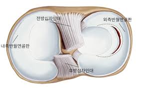 통탈의원 이미지