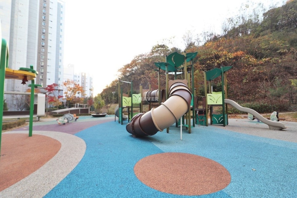 가락가스 이미지