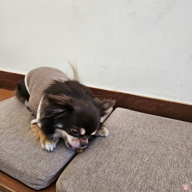 카페 온즈 사진 5