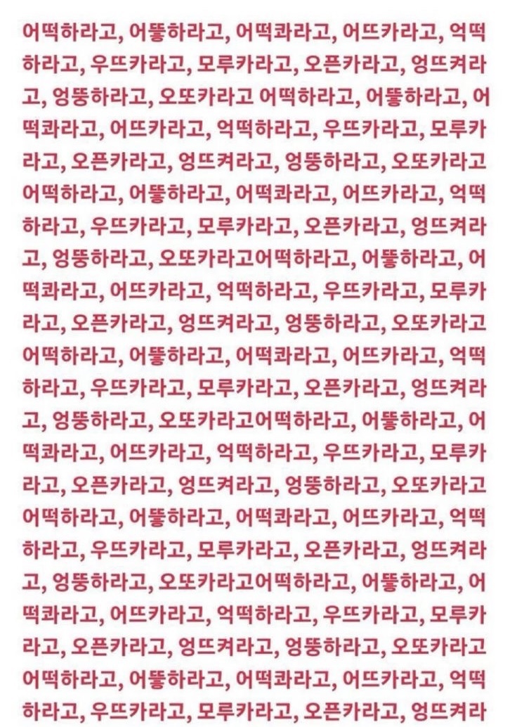 딱스 이미지