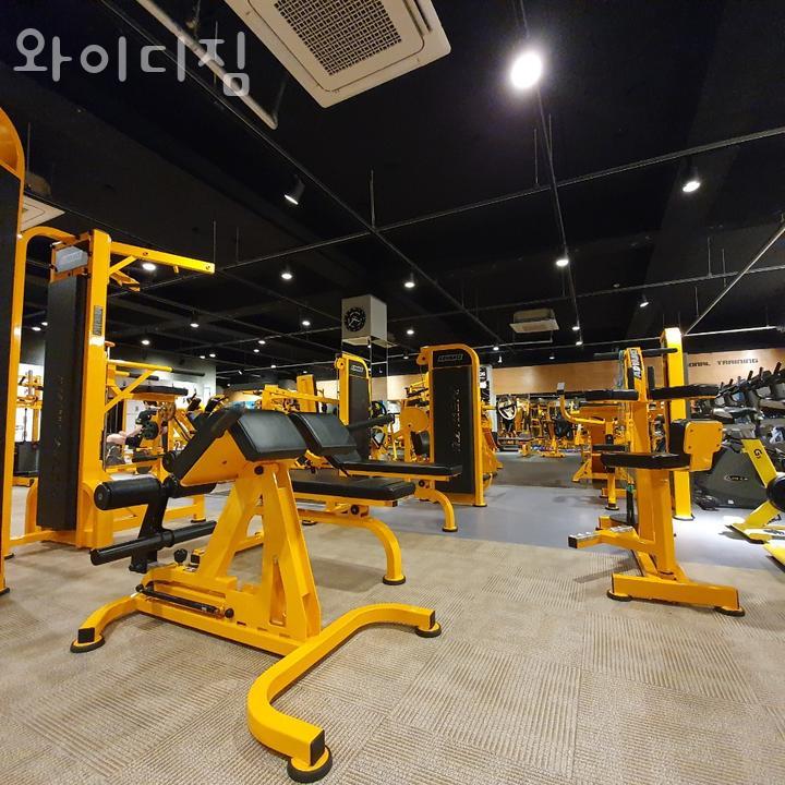 와이디짐 이미지