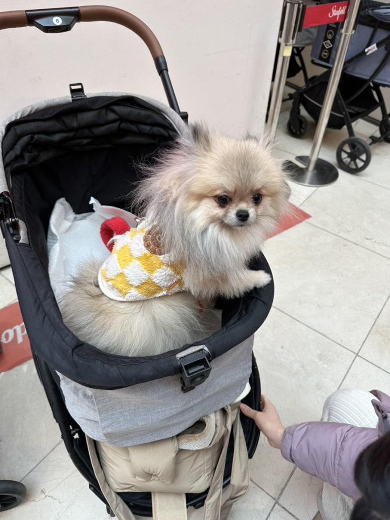 라브리크스타필드 이미지