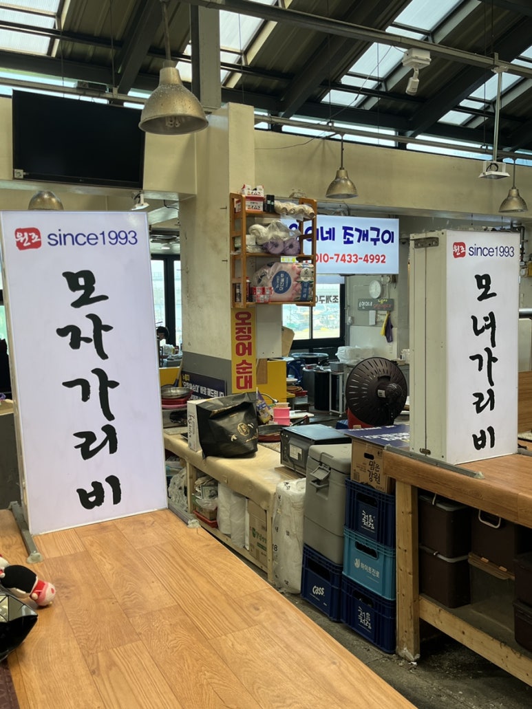 모자가리비 이미지