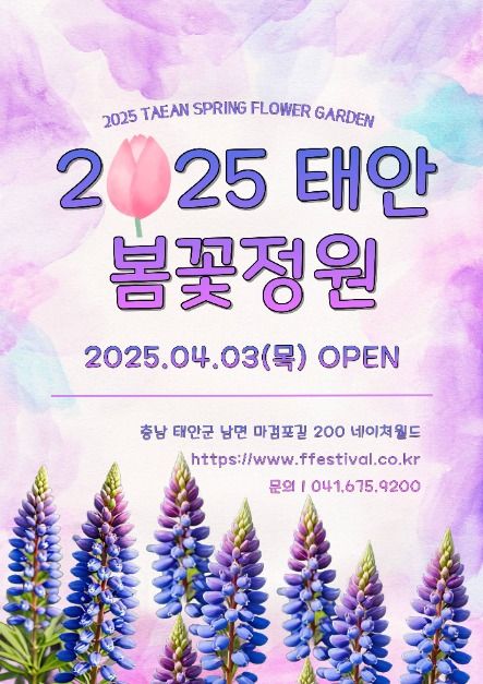 마레모어 이미지