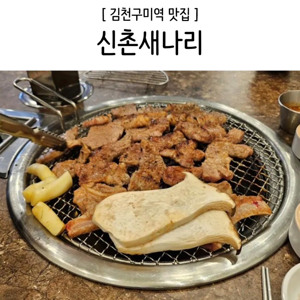 신촌새나리 이미지