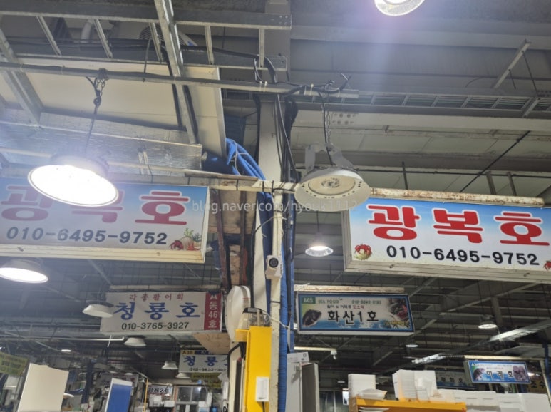 광복호 이미지