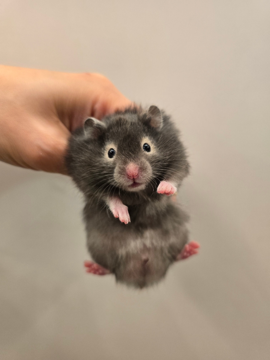 (주)모프 이미지