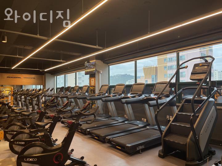 와이디짐 이미지