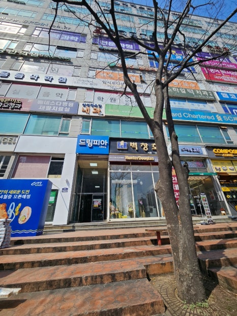 봄날 사진 4