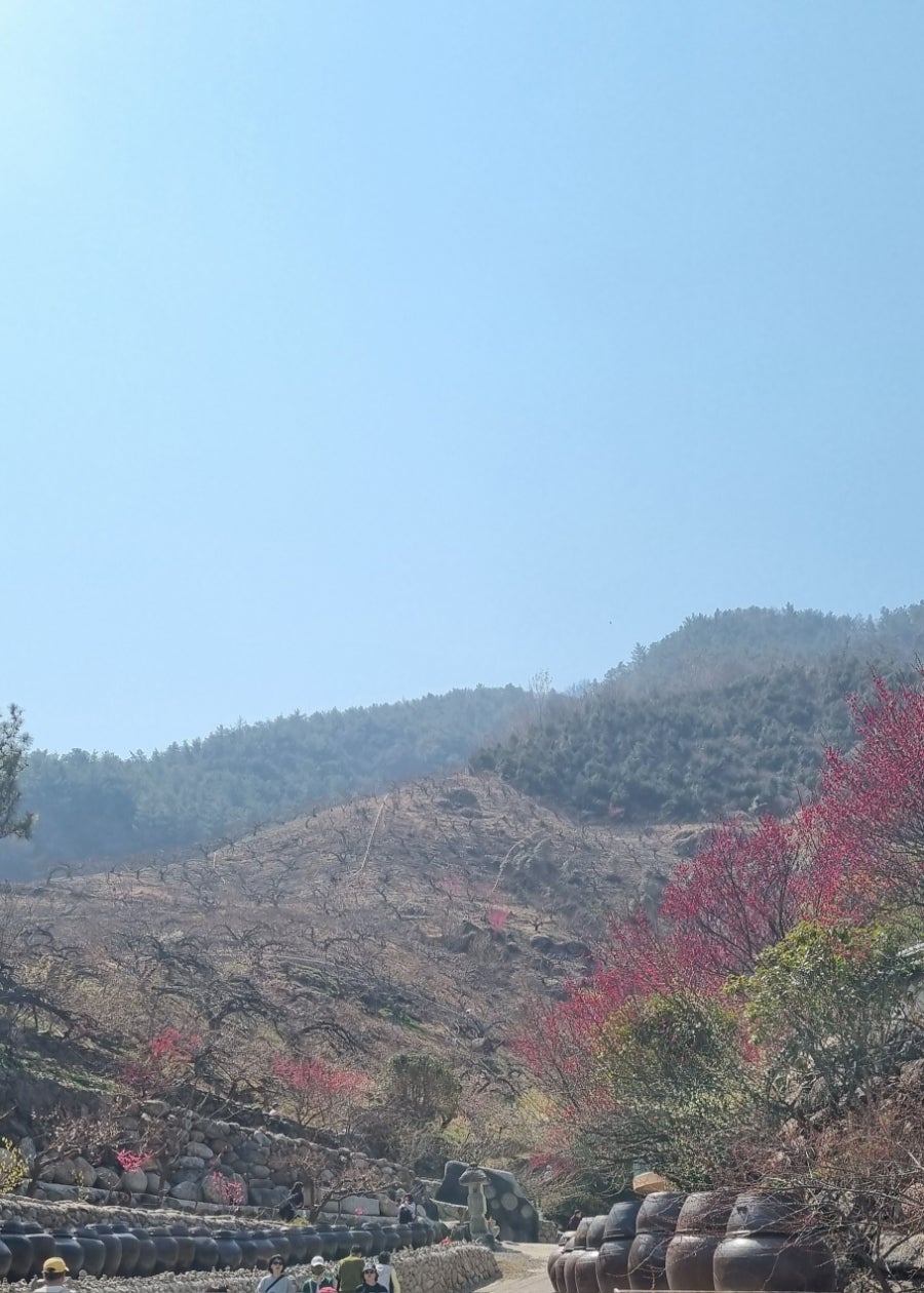 인천로열투어 이미지