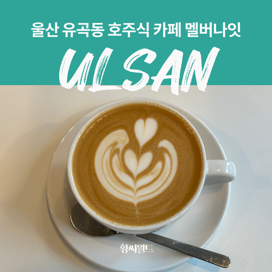 멜버나잇 이미지