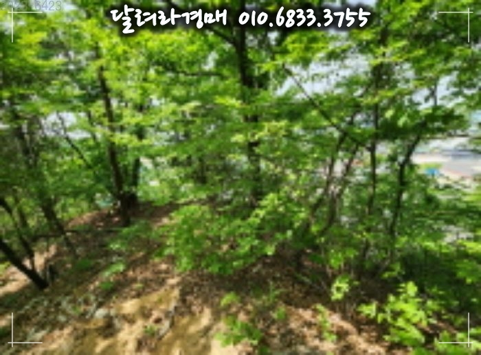 (주)대륙식품 이미지