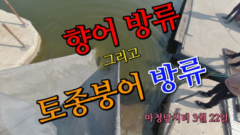 오늘은향어 이미지