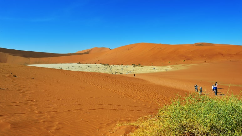 나미브(NAMIB) 이미지