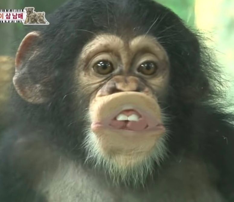 해장불냉면 이미지
