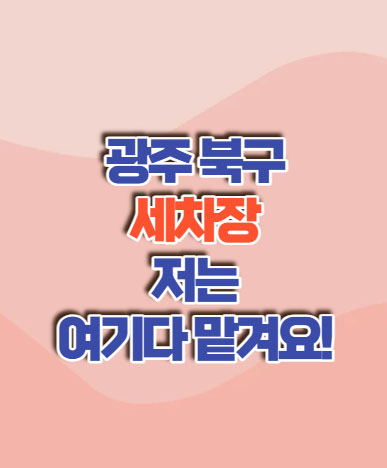 대성세차장 이미지