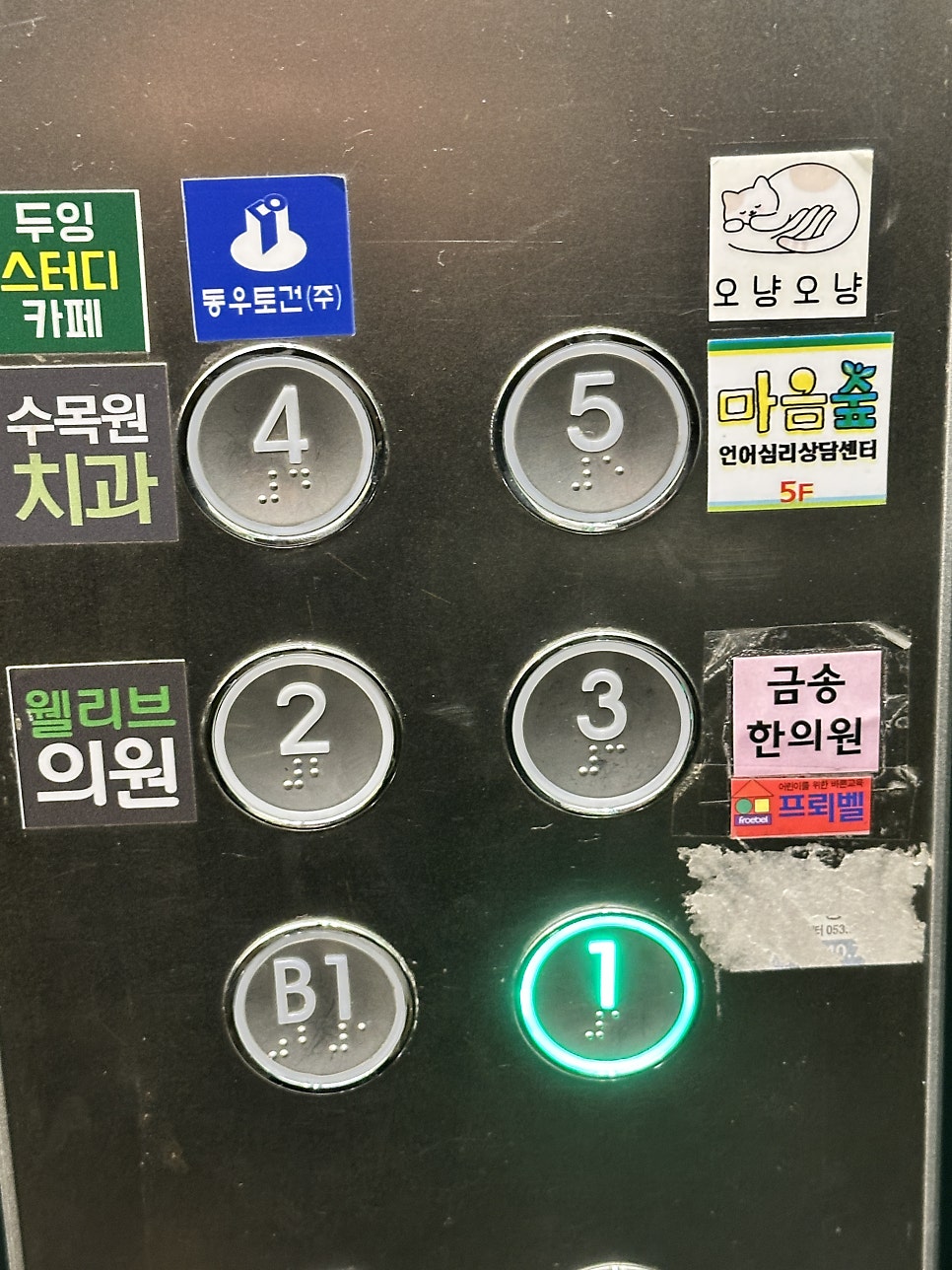 대구 고양이 호텔 오냥오냥 24시간 상주 관리 — 사진 3