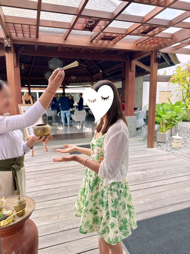 시카다(cicada) 이미지