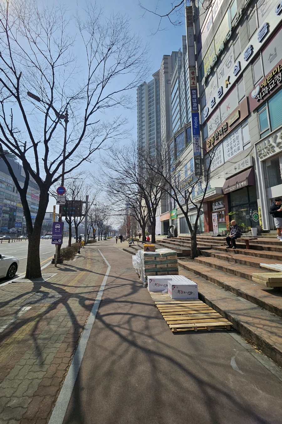봄날 사진 3