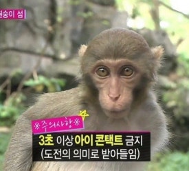 야호세탁소 이미지